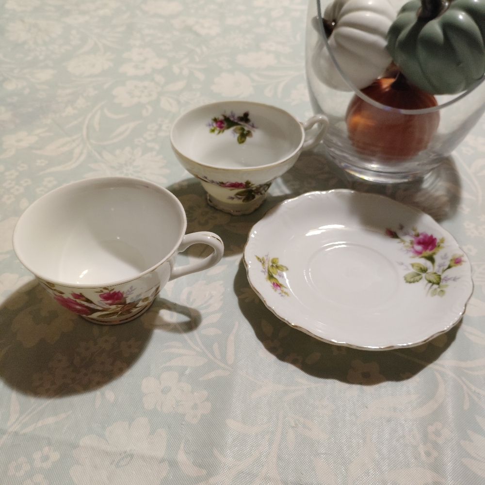 Rose Teacup and Saucer Set - Japan